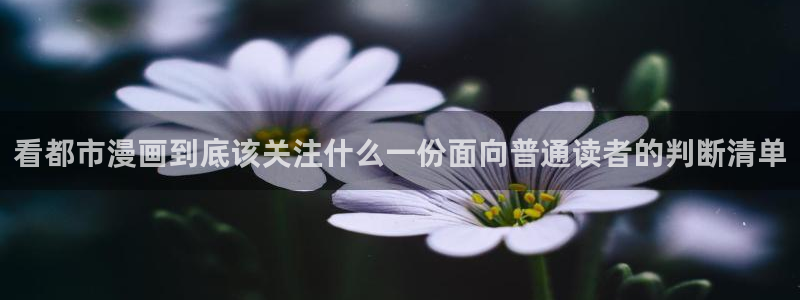 漫画岛网页最新地址