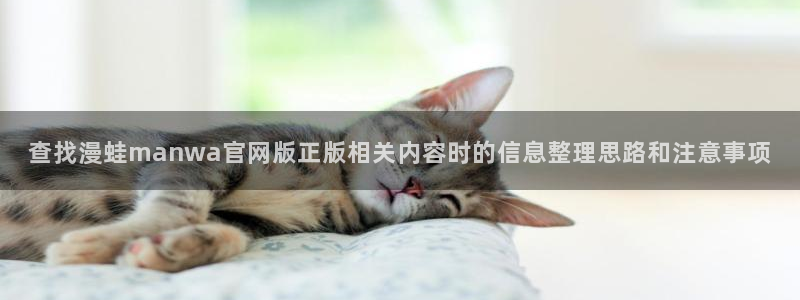 漫画岛网页导航