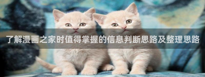 漫画岛最新章节更新